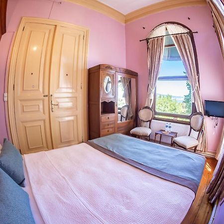 Bueyuekada Anastasia Meziki History Mansion Adalar Esterno foto