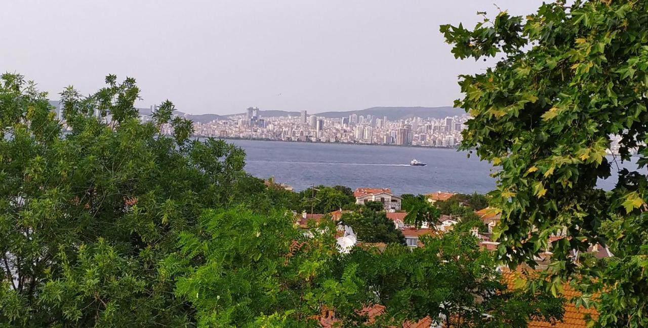 Bueyuekada Anastasia Meziki History Mansion Adalar Esterno foto